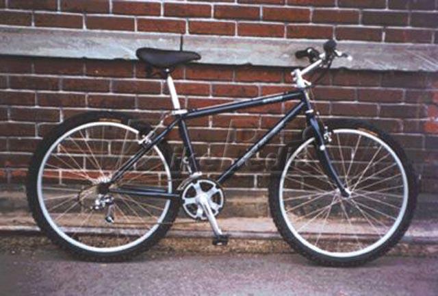 1998 Alpine Designs Explore