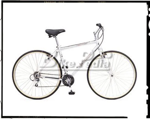 1998 Giant Cypress (01)