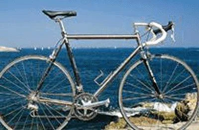 1998 Seven Cycles Odonata (04)