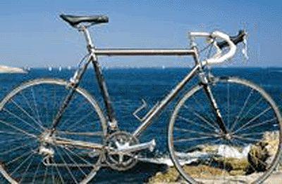 1998 Seven Cycles Odonata (04)