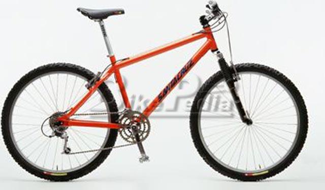 1998 Santa Cruz Chameleon