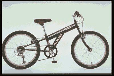 1998 Specialized Hotrock 20