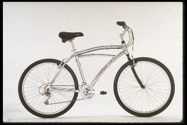 1998 Diamondback Voyager I