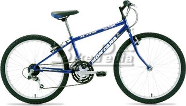 1998 KHS Montana T-Rex