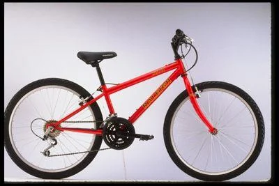 1998 Raleigh Mountain Scout