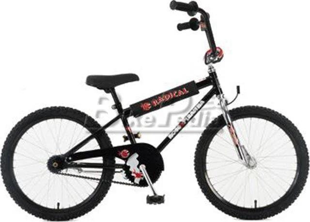 1998 Ross Radical