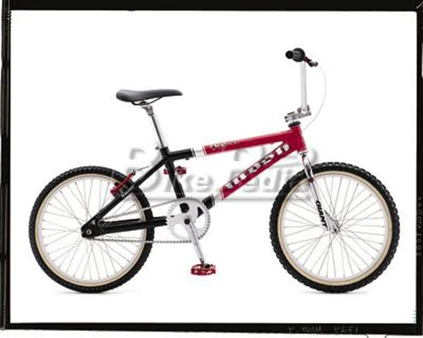 1998 Giant Mosh Pro XL