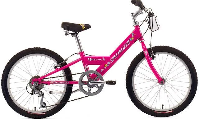 1999 Specialized Hotrock 20"