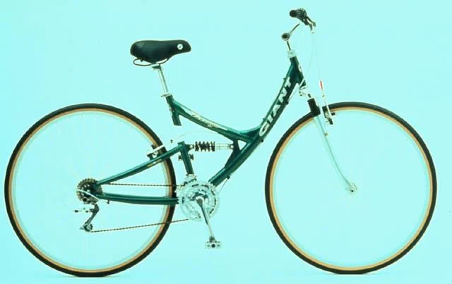 1999 Giant Farrago DS