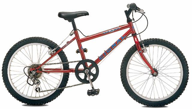 1999 Cignal Ozark 20