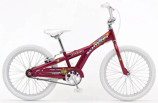 1999 Schwinn Stardust