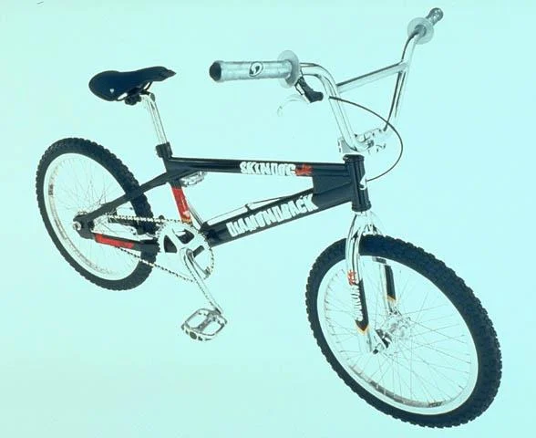1999 Diamondback Skin Dog