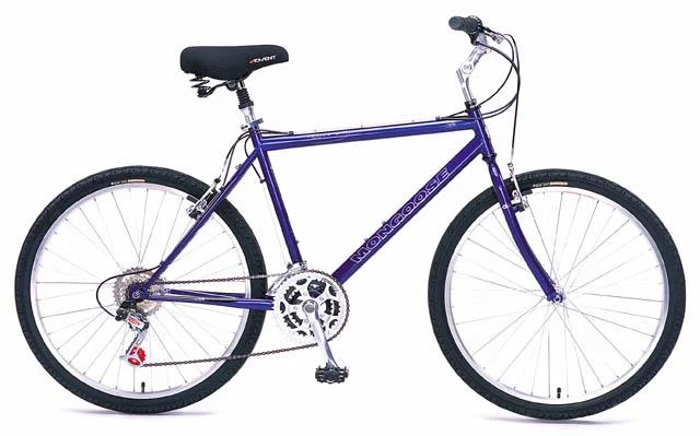 1999 Mongoose DX 3.5