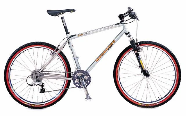 1999 Mongoose DX 10.7