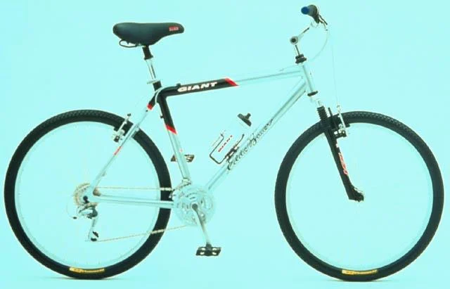 1999 Giant EB SPORT