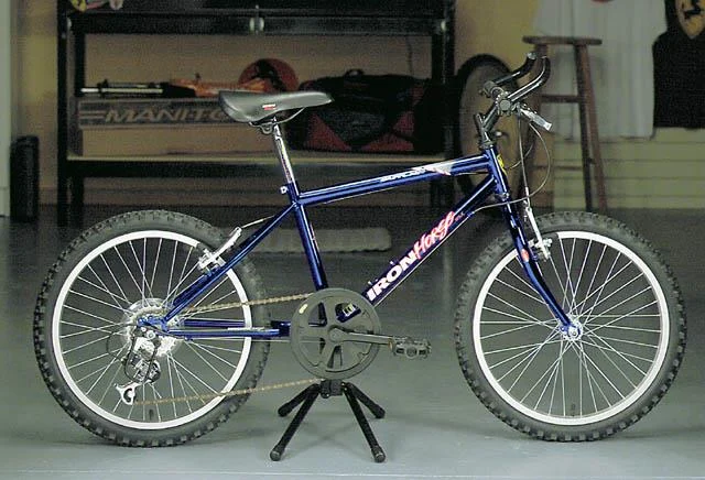 1999 Iron Horse Outlaw Jr.