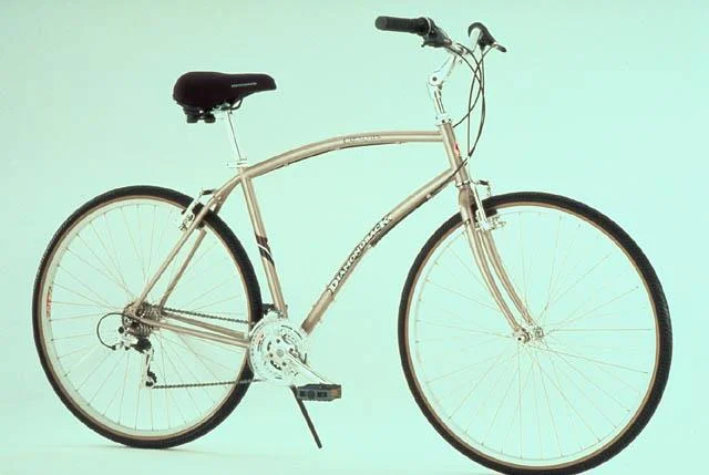 1999 Diamondback Crestview