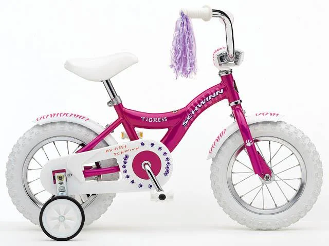 1999 Schwinn Tigress
