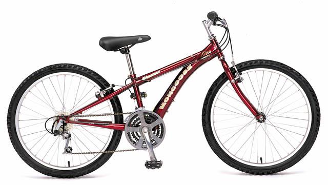 1999 Mongoose Stormer (02)