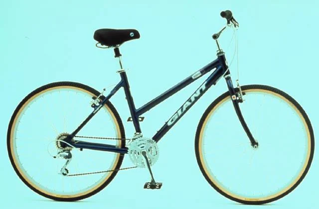 1999 Giant Sedona