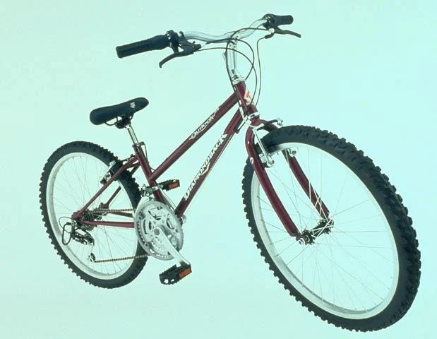 1999 Diamondback Outlook 24"