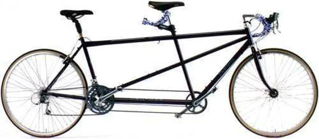 1999 Davidson Tandem