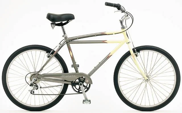 1999 Schwinn Cruiser Supreme