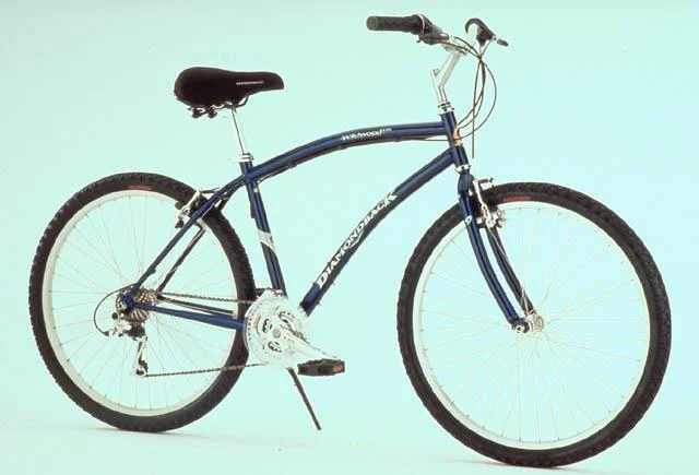 1999 Diamondback Wildwood DX