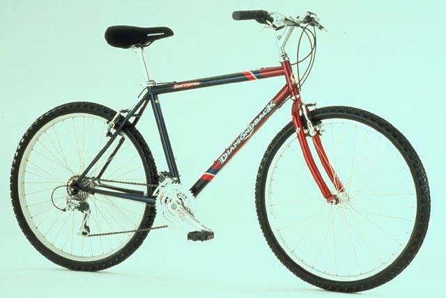 1999 Diamondback Sorrento