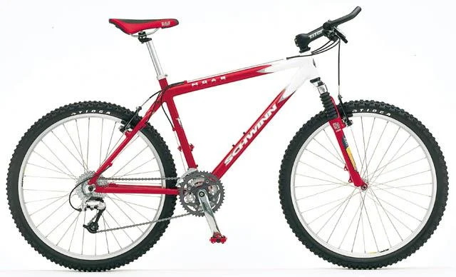 1999 Schwinn Moab 1