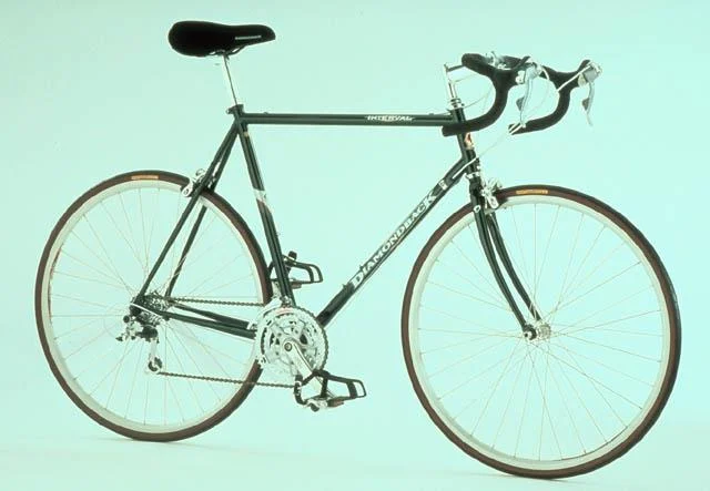 1999 Diamondback Interval