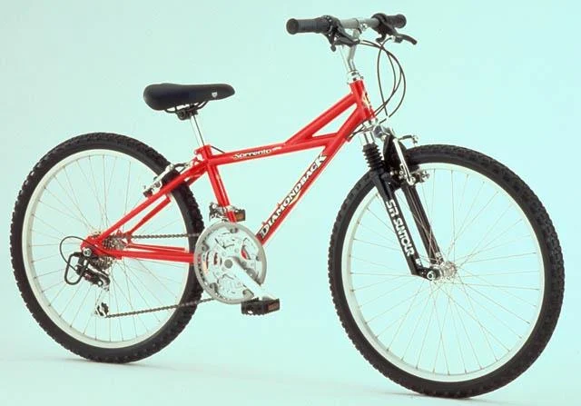 1999 Diamondback Sorrento 24"