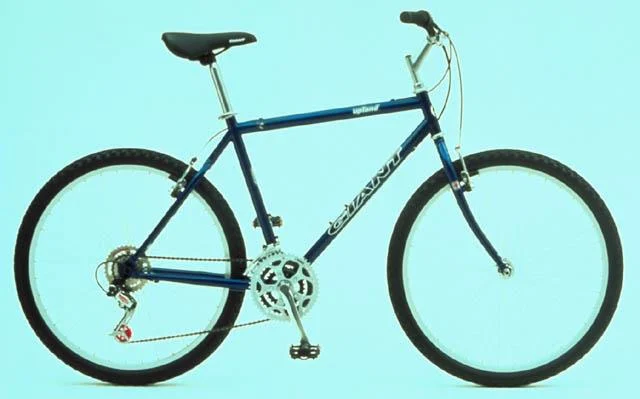 1999 Giant Upland