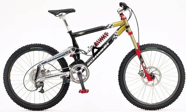 1999 Schwinn Homegrown Straight 8