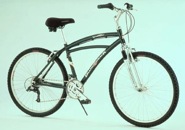 1999 Diamondback Voyager II