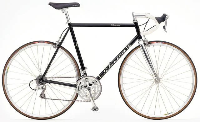 1999 Schwinn Circuit
