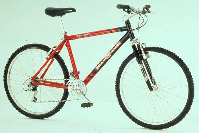 1999 Diamondback Topanga SE
