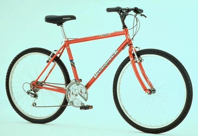 1999 Diamondback Outlook