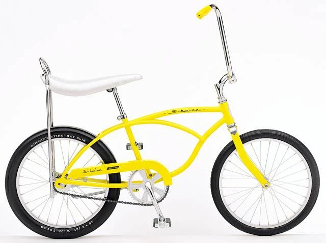 1999 Schwinn Sting Ray