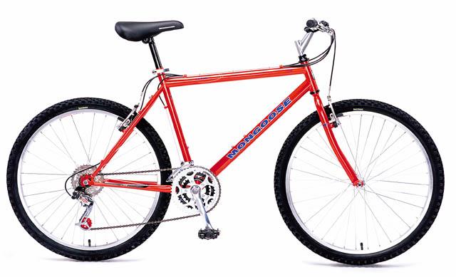 1999 Mongoose DX 3.3