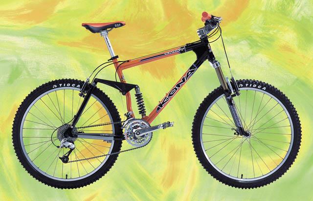 1999 Kona Stinky