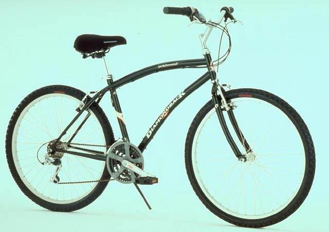 1999 Diamondback Wildwood