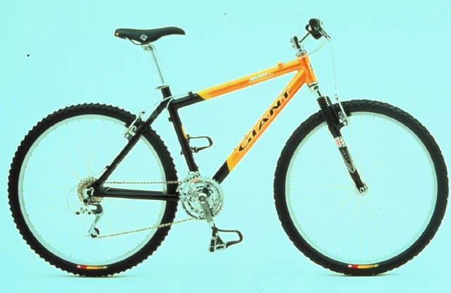 1999 Giant Iguana SE