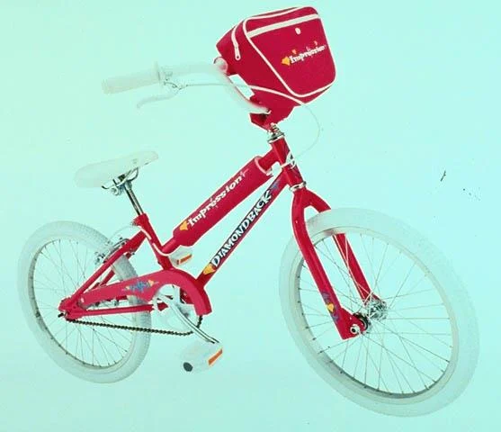 1999 Diamondback Impression