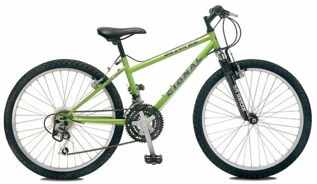 1999 Cignal Ozark SX