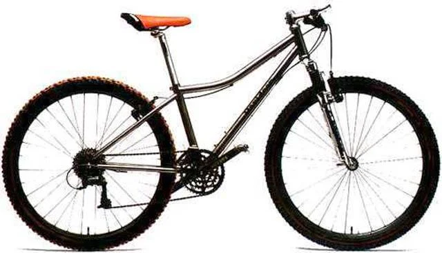 1999 Davidson Tiny Hardtail