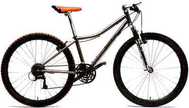 1999 Davidson Tiny Hardtail