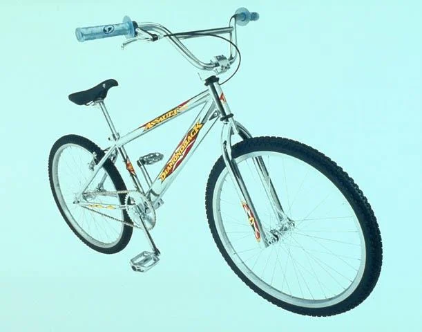 1999 Diamondback Assault 24"