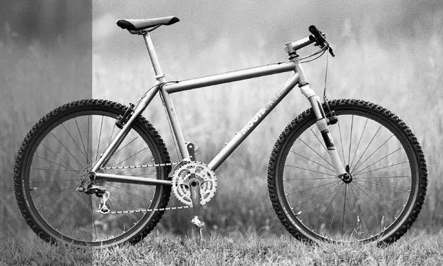 1999 Moots Rigor Mootis