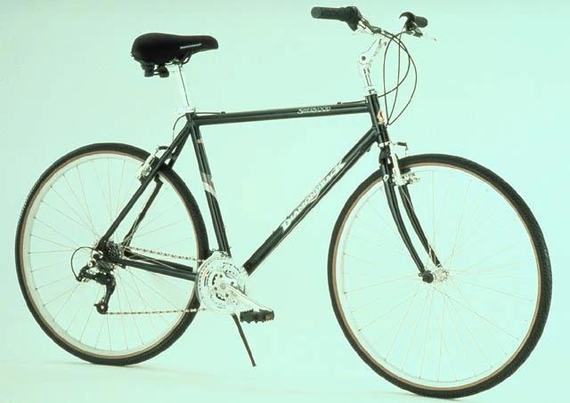 1999 Diamondback Sherwood